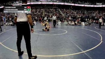 4A 126 lbs Quarterfinal - Colton McClung, DH Conley vs Cayden Glass, Davie