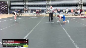 96 lbs Round 2 (10 Team) - Sayge Herndon, Noke Wrestling RTC vs Nicholas Demyanovich, Hanover Hawkeye