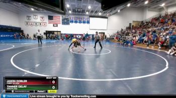 110 lbs Quarterfinal - Jaxon Dobler, Carey Jr High vs Tanner Delay, Wheatland