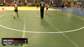 102 lbs Semis & 1st Wrestleback (8 Team) - Brock Irlbeck, Wabasso vs Elijah Cline, Owatonna