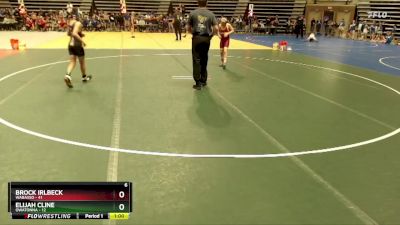 102 lbs Semis & 1st Wrestleback (8 Team) - Brock Irlbeck, Wabasso vs Elijah Cline, Owatonna