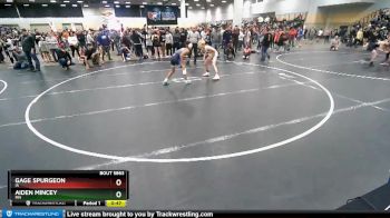 106 lbs Cons. Round 5 - Aiden Mincey, MN vs Gage Spurgeon, IA