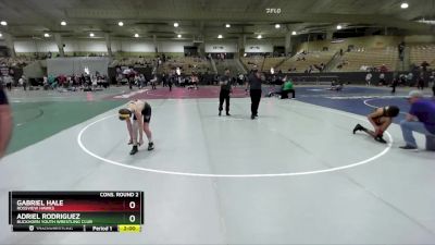 115 lbs Cons. Round 2 - Gabriel Hale, Rossview Hawks vs Adriel Rodriguez, Buckhorn Youth Wrestling Club