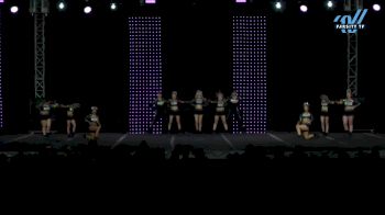 Wicked Elite - Dark Angels [2025 L5 Senior Coed - D2 Day 2] 2025 ASC King of the Jungle Schaumburg Showdown