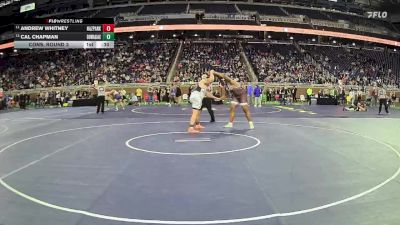 D3-285 lbs Cons. Round 3 - Cal Chapman, Dowagiac vs Andrew Whitney, Hazel Park