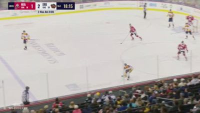 Detroit Red Wings Prospect Luka Arkko Goal (4) | 2026 Niagara IceDogs vs Erie Otters | Oct 24