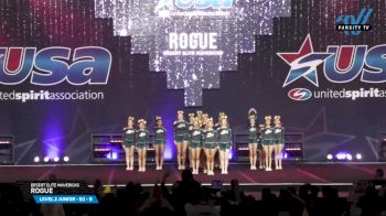 Desert Elite Mavericks - Rogue [2025 L2 Junior - D2 - B Day 3] 2025 USA All Star Cheer Super Nationals