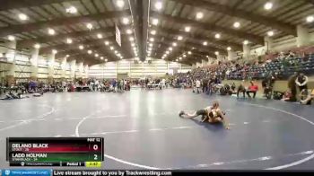 119 lbs Champ Round 1 (16 Team) - Delano Black, Stout vs Ladd Holman, Utah Black