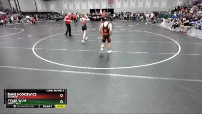 113 lbs Cons. Round 3 - Dane Hodkiewicz, Shawano vs Tyler Wuh, Libertyville