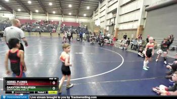 49 lbs Champ Round 1 (16 Team) - Adriel Flores, Warriors Of Christ vs Daxxton Phillipsen, South Central Utah