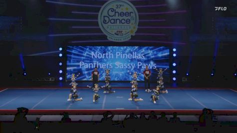 North Pinellas Panthers Sassy Paws - Southeast [2024 FYD Pop Warner Wednesday] 2024 Pop Warner National Cheer & Dance Championship