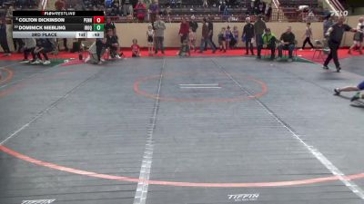 110_B lbs 3rd Place - Colton Dickinson, Pennridge vs Dominick Niebling, Iroquois