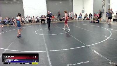 114 lbs Placement Matches (8 Team) - Caleb Asa, Indiana vs Matthew Vesa, Texas