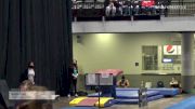 Sofia Perri - Women's Group, Legacy Gymnastics - 2021 Women's Xcel Region 4 Championships