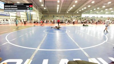 75 lbs Quarterfinal - Jordan Skodak, Team Michigan vs Deacon Brooks, Ohio Gold