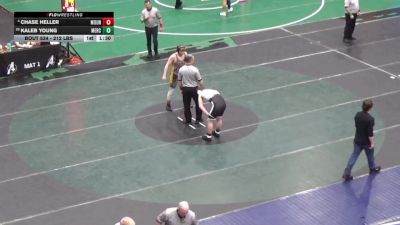 212 lbs Round Of 32 - Chase Heller, Mount Carmel vs Kaleb Young, Mercer