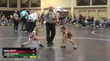 40 lbs Finals (2 Team) - Najm Toomey, Iowa Gold vs Kaden Vanover, Missouri Gold