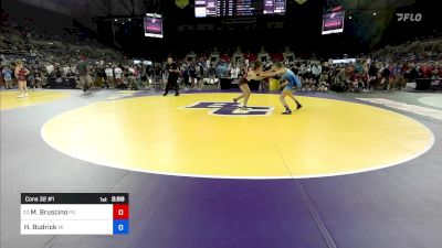 155 lbs Cons 32 #1 - Mariana Bruscino, PA vs Hailee Budrick, MI