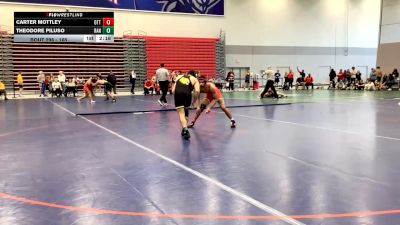 165 lbs Quarterfinal - Carter Mottley, Otterbein University vs Theodore Piluso, Randolph