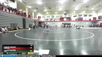 184 lbs Cons. Round 5 - Lucas Salmon, Tiffin vs Jaquez Bostic, Limestone