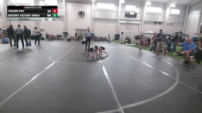 52-56 lbs Round 3 - Tucker Fry, Chapmanville vs Destiny Victory Wren, Donahue Wrestling Academy