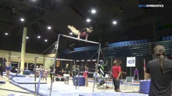 Ashley Veglucci - Bars, Gold Medal - 2018 Tampa Bay Turner's Invitational