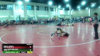 138 lbs Round 3 (16 Team) - Joe D Amico, Ohio Titan Blue vs Greyson Nielson, SD Red