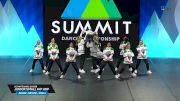 Ultimate Dance & Cheer - Junior Small Hip Hop [2025 Junior - Hip Hop - Small Semis] 2025 The Dance Summit