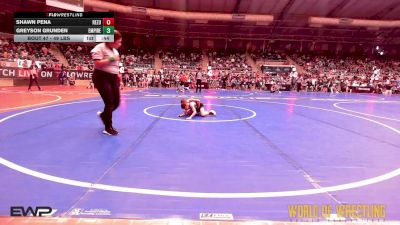 49 lbs Round Of 16 - Shawn Pena, ReZults Wrestling vs Greyson Grunden, Empire Wrestling Academy