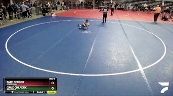 65 lbs Quarterfinal - Cruz Chladek, Westfield vs Tate Berger, Centennial