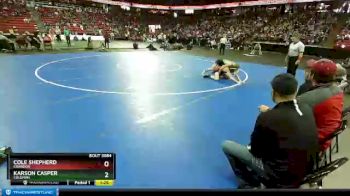 D3-145 lbs Quarterfinal - Karson Casper, Coleman vs Cole Shepherd, Crandon