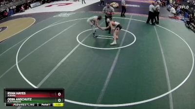 Cons. Round 2 - Odin Anschutz, Plattsmouth vs Ryan Hayes, Auburn