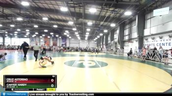 52 lbs Rd# 4- 2:00pm Friday Final Pool - Carter Hardy, PA Silver vs Cruz Astorino, PA Blue