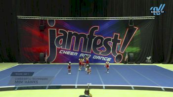 Cheer-riffic Techniques - Mini Hawks [2024 L1 Mini - Novice - Restrictions Day 1] 2024 JAMfest San Antonio Classic
