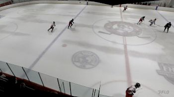 Replay: Home - 2024 Prestige vs Aces Hockey | Jul 19 @ 8 AM