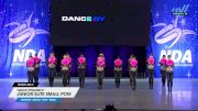 Dance Dynamics - Junior Elite Small Pom [2025 Junior - Pom - Small Day 2] 2025 NDA All-Star National Championship