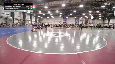 126 lbs Rr Rnd 1 - Nicholas Salamone, Gold Medal Wrestling Club - Easton vs Laudon Ethridge, MF Army