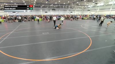 114 lbs Cons. Round 3 - Danita Palmore, Beat The Streets-Chicago vs Paige Nellett, Unattached