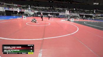 106 lbs Quarters & Wb (16 Team) - Michael `Cash` David, Franklin County vs Declan McCarton, Eastern View