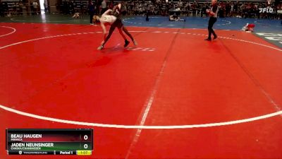 110 lbs Semifinal - Jaden Neunsinger, Chaska/Chanhassen vs Beau Haugen, MAHACA