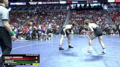 3A-165 lbs 5th Place Match - Wesley Anderson, Waukee vs Ari Ehlts, Ankeny Centennial