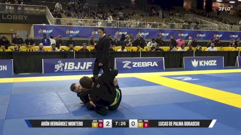 Lucas De Palma Boraschi vs Arón Hernández Montero 2026 Pan Jiu Jitsu IBJJF Championship