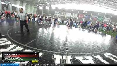 93 lbs Round 2 - Vincent Amorosa, Black Fox Wrestling Academy vs Royce Halstead, Salem Elite Mat Club