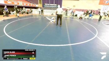 113 lbs Cons. Round 2 - Gavin Slark, WI vs James Penick, MO
