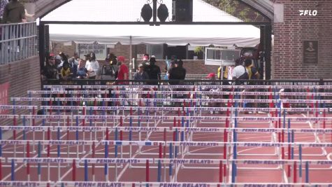 Men's 110m Hurdles, Finals 1