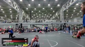 84 lbs Placement (4 Team) - Lorenzo Cillo, Revival vs Mason Bliss, Mat Warriors