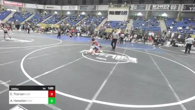 136 lbs Quarterfinal - Eleanor Thorson, Independent vs Ayla Hampton, Chatfield WC