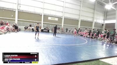 113 lbs Semis & 1st Wrestleback (8 Team) - Lukas Foster, Illinois vs Greysen Packer, Idaho