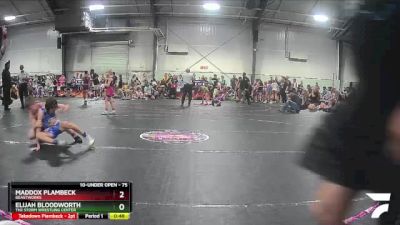 75 lbs Semifinal - Maddox Plambeck, Beastworks vs Elijah Bloodworth, The Storm Wrestling Center