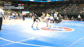 138 Class 4 lbs Quarterfinal - Aiden Hahn, Farmington vs Brady McMurtry, Hickman